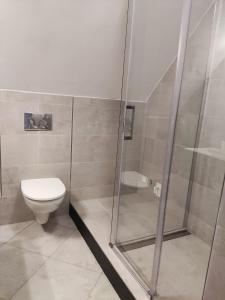 a bathroom with a shower and a toilet at Motýlí chalupa - luxusní apartmány u Ještědu in Dlouhý Most