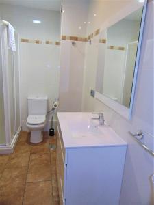 a bathroom with a toilet and a sink and a mirror at Terrasol Pirámides Puerto Blanco in Caleta De Velez