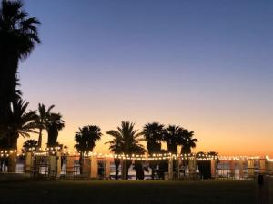 eine Gruppe von Palmen und ein Gebäude mit Lichtern in der Unterkunft Ático cerca Playa y centro a 10 min. in Barcelona