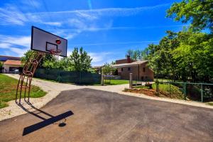 an outdoor basketball hoop with a basket in a driveway at Villa Ferlini in Central Istria with private 10000 m2 Garden in Svetvinčenat