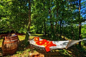 a hammock in the grass next to a wooden barrel at Villa Ferlini in Central Istria with private 10000 m2 Garden in Svetvinčenat