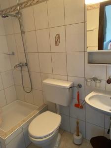 uma casa de banho com um WC, um chuveiro e um lavatório. em Casa Anita em Laax-Murschetg