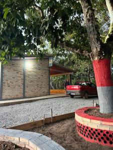 HOTEL FAZENDA Engenho Velho外面的花园