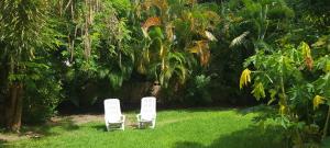 two white chairs sitting in the grass in a yard at Green Monkey Cottage in Saint Lucy