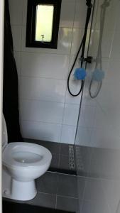 een badkamer met een toilet en een douche bij Gezellige Chalet met airco en vele faciliteiten! in Baarle-Nassau