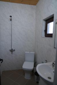 a bathroom with a toilet and a sink at Вилно селище "Свети Никола" - язовир Огоста, Монтана - рибари, приятели, гости 0988 продължи 70продължи 9990 in Montana