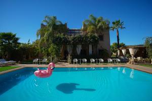 une piscine avec un flamingo rose dans l'eau dans l'établissement Villa Atika Maison d'Hôtes & Spa, à Marrakech