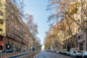 una calle vacía en una ciudad con árboles y coches en apartamento exclusivo en velazquez en Madrid