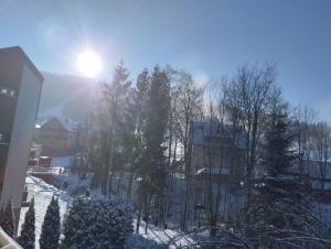 シュチルクにあるDom Gościnny U Wiktoriiの雪と木々の冬の街並み