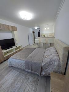 1 Schlafzimmer mit einem großen Bett und einer Küche in der Unterkunft RG Garsoniera Central in Piatra Neamţ