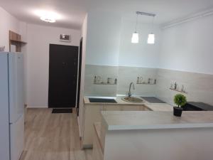 a white kitchen with a sink and a refrigerator at RG Garsoniera Central in Piatra Neamţ +8 photos