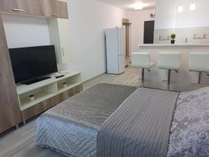 Schlafzimmer mit einem Bett und einem Flachbild-TV in der Unterkunft RG Garsoniera Central in Piatra Neamţ