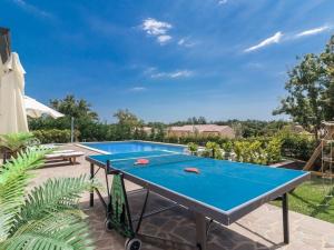 Stolní tenis v ubytování Villa Martha in Central Istria with private pool - wellness & table tennis for 12 persons nebo okolí