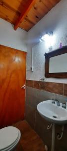 ein Bad mit einem WC und einem Waschbecken in der Unterkunft Casa V.Giardino pileta y cochera in Villa Giardino