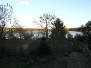 vistas a un lago con árboles y una valla en Ferienwohnung mit Seeblick - b46412, en Lychen