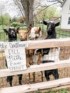Kép The Goat Farm szállásáról  a galériában
