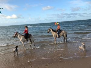 two people riding horses on the beach with dogs at Casa e bangalôs - Refugio Lodge- Sto Inacio - 3km de Atins in Atins