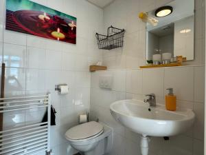 een badkamer met een wastafel, een toilet en een spiegel bij Coastal Dreaming in Egmond aan Zee