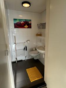 エグモント・アーン・ゼーにあるCoastal Dreamingのトイレと洗面台付きのバスルーム
