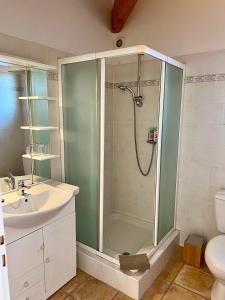 a bathroom with a shower and a sink at Au Bonheur Dezange in Pézenas