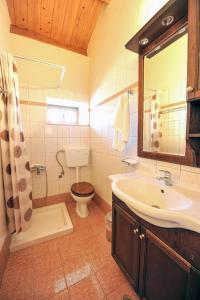 een badkamer met een wastafel, een toilet en een spiegel bij Villa Agathi in Anemogiannátika
