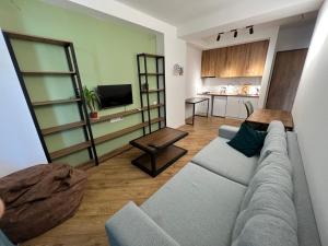 een woonkamer met een grijze bank en een keuken bij Archi apartments 4 in Tbilisi City