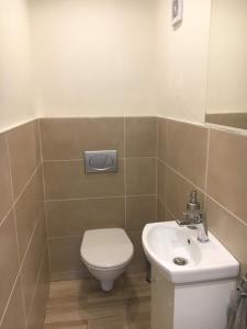 a bathroom with a toilet and a sink at Apartmány na Tanvaldském Špičáku in Jiřetín pod Bukovou +4 photos