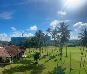 PolgasowitaGreen Condo的享有棕榈树公园和建筑的景色