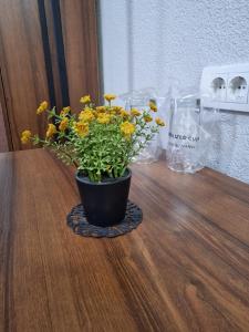 Galería fotográfica de Hotel Djerdan en Kraljevo