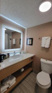 a bathroom with a sink and a toilet and a mirror at Ramada by Wyndham Lansing Hotel & Conference Center in Lansing