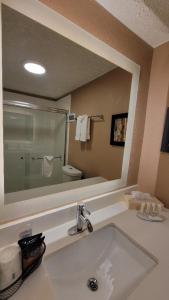 a bathroom with a sink and a large mirror at Ramada by Wyndham Lansing Hotel & Conference Center in Lansing