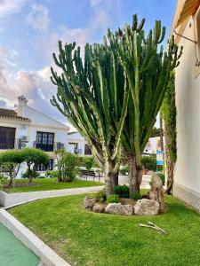 Zahrada ubytování APARTAMENTO VERA COAST 123