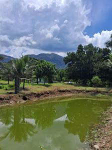 a pond of green water with mountains in the background at Camping Ariró in Angra dos Reis