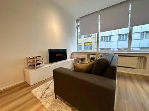 a living room with a couch and a tv at Rezidence BLUM in Brno