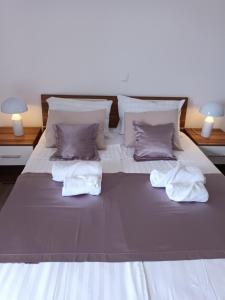 波茲塔納的住宿－伊維卡公寓，一张白色的大床,带两条毛巾