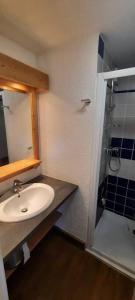 a bathroom with a sink and a shower at Appartement VERCORS 4 personnes in Autrans