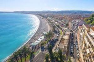 an aerial view of a beach with palm trees and the ocean at Appartement Nice avec balcon et parking privé in Nice