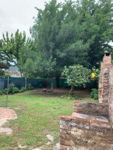 a yard with a tree and a brick wall at Casa una habitación Mich VC Santa María de Punilla in Bialet Massé