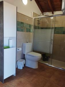 a bathroom with a toilet and a glass shower at Luz de Aroa in Garafía