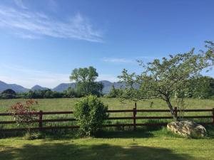 a fence in a field with a tree and a rock at Killarney Farm House. in Killarney +14 photos