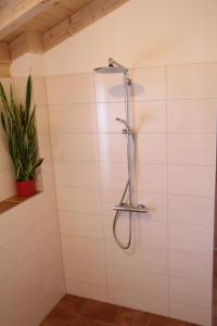 a shower in a bathroom with a plant at Chalet Charmant-Santelmann in Bischoffingen +4 photos