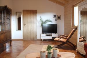 a living room with a television and a chair at Chalet Charmant-Santelmann in Bischoffingen