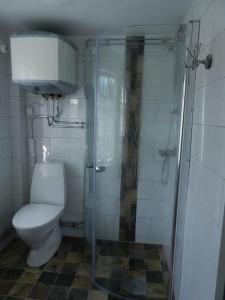 a bathroom with a toilet and a glass shower at Charming renovated seventeenth century cottage in Ludvika