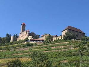 ein Schloss auf einem Grashügel in der Unterkunft Ferienwohnung Zeitlos in Gundelsheim