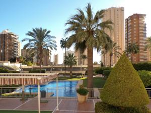 a resort with a pool and palm trees and buildings at Apartamento turístico en Gemelos 20, planta 14 in Benidorm