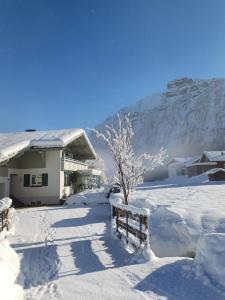 um quintal coberto de neve com uma casa e uma árvore em Apartment Dietrich Sylvia em Mellau