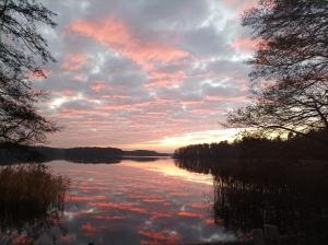 Landskap nær båten