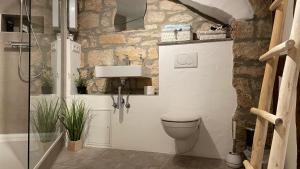 a bathroom with a toilet and a sink at Ferien am Schlössle in Ochsenfurt +18 photos