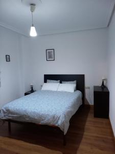 a bedroom with a bed and a white wall at Acala Galiano in Zamora