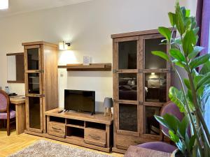 TV a/nebo společenská místnost v ubytování Hotel Star